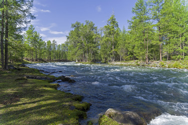 Similar image 21118430