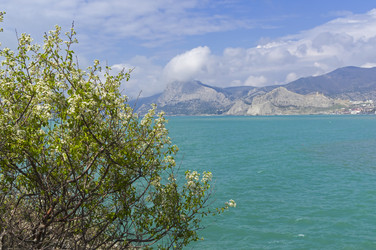 Similar image 21118431