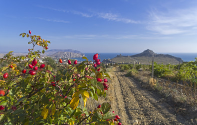 Similar image 21118432