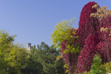 Similar image 21118434