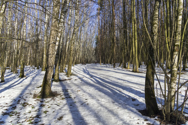 Similar image 21118439