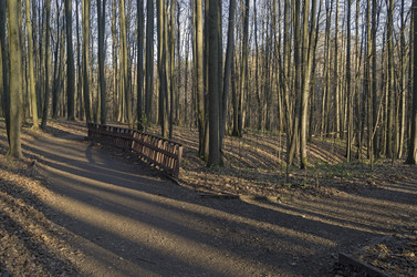 Similar image 21118440