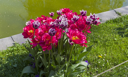 Similar image 21118441