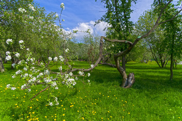 Similar image 21118444