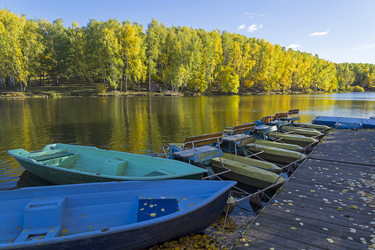 Similar image 21118513