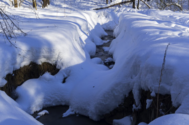 Similar image 21118519