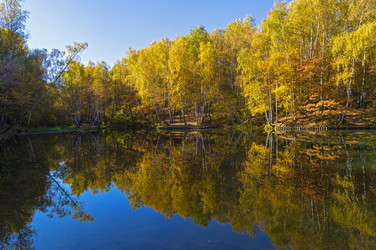 Similar image 21118522