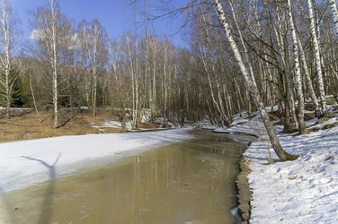 Similar image 21118525