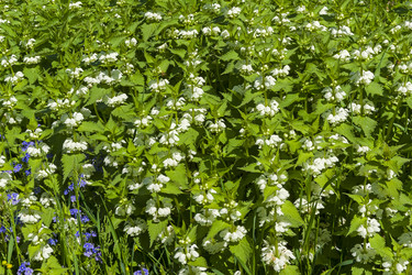 Similar image 21118526