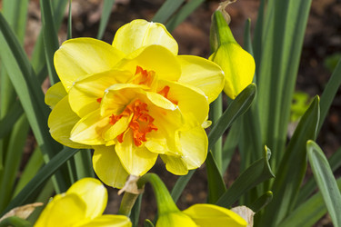 Similar image 21118528