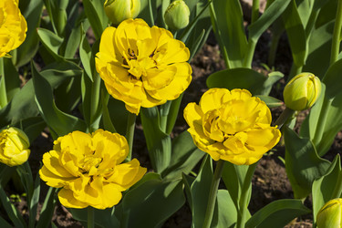 Similar image 21118529