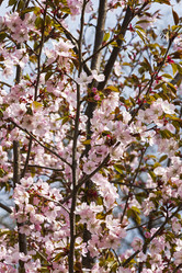 Similar image 21118530