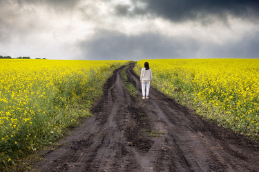 Similar image 21125459