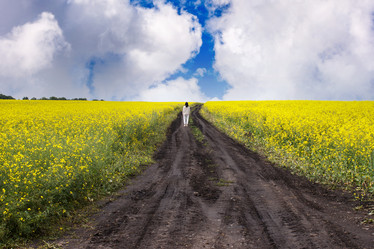 Similar image 21125460