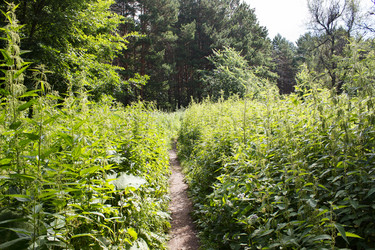 Similar image 21125463