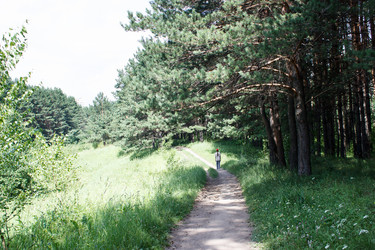 Similar image 21125466