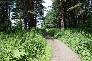 Similar image 21125467