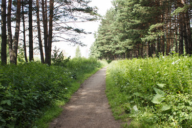 Similar image 21125468