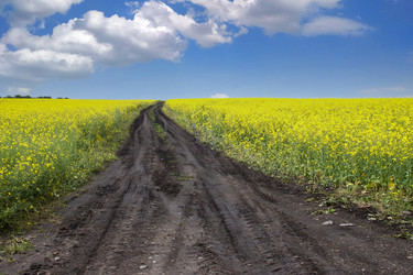 Similar image 21125470