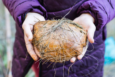 Similar image 21123854