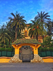 Similar image 21118456