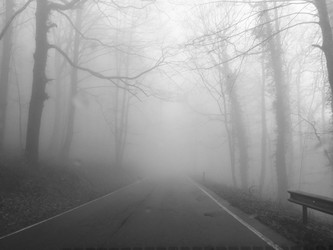 Similar image 21118459