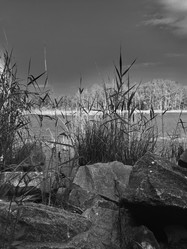 Similar image 21118462