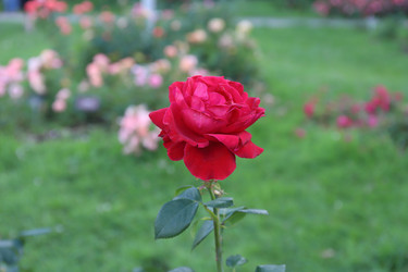 Similar image 21121660