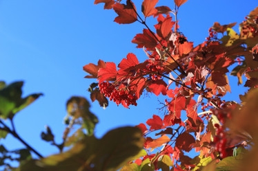 Similar image 21121661