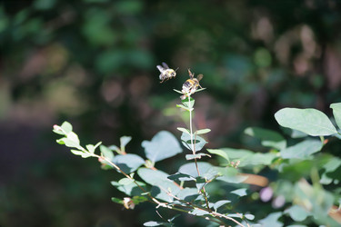 Similar image 21118465