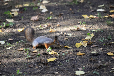 Similar image 21122823