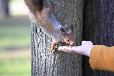 Similar image 21122824