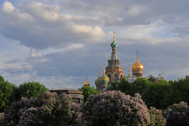 Similar image 21118481