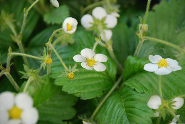 Similar image 21129483