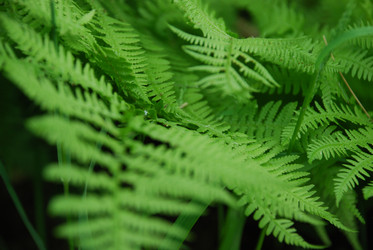 Similar image 21129484