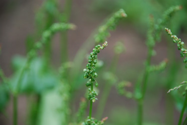 Similar image 21129488