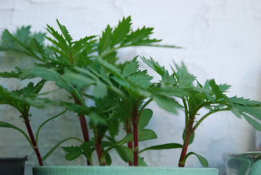 Similar image 21129491