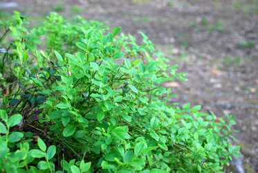 Similar image 21129493