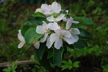 Similar image 21129494