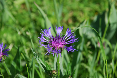 Similar image 21129495