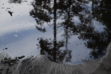 Similar image 21129497