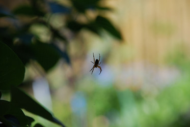 Similar image 21129498