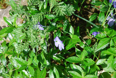 Similar image 21129499