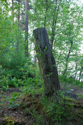 Similar image 21129500