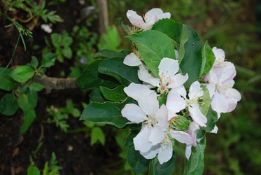 Similar image 21129501