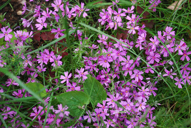 Similar image 21129502