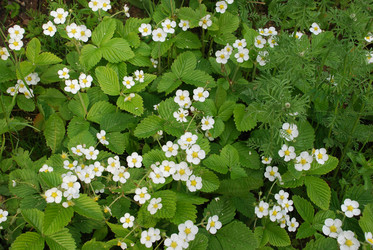 Similar image 21129503