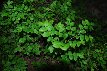 Similar image 21129508