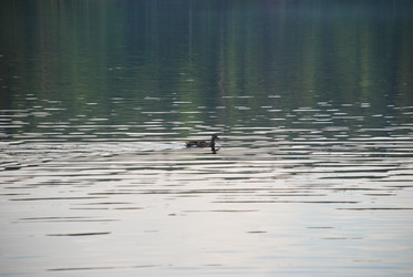 Similar image 21129509