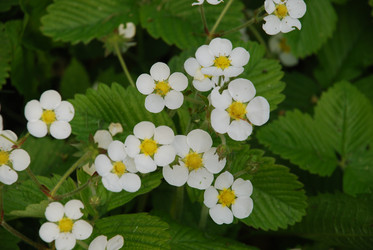 Similar image 21129510